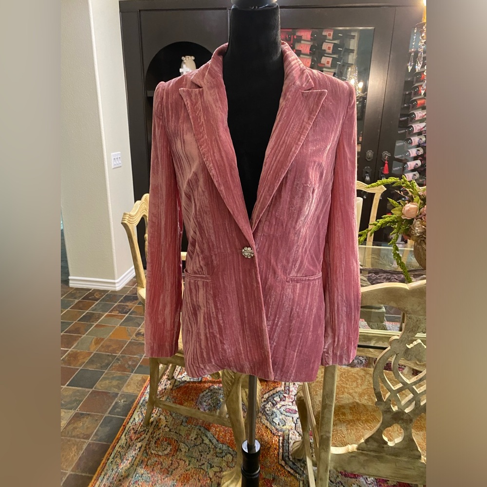 NWT-WAYF Pink Blazer in crushed velvet